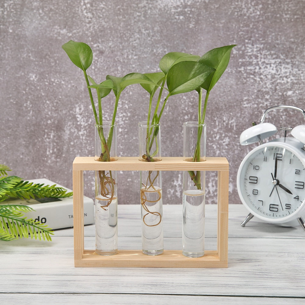 Transparent Glass Vase Wood Frame Flower Vase