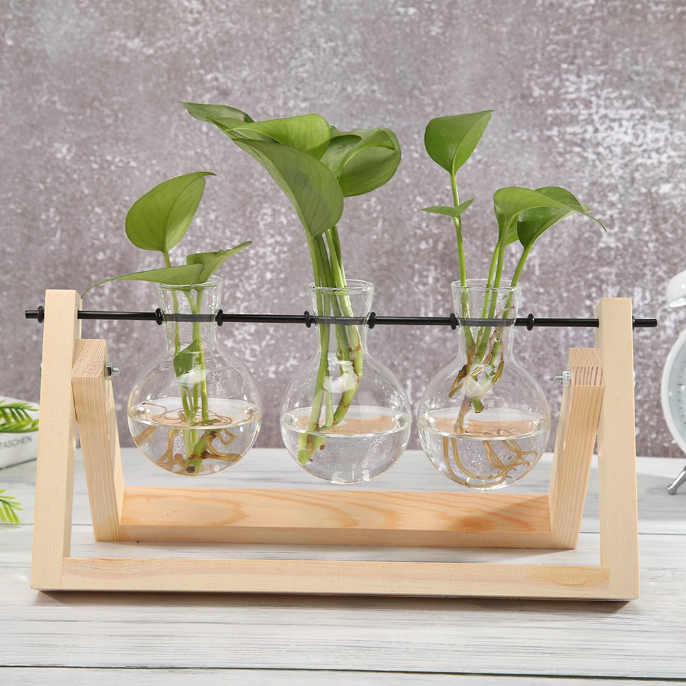 Transparent Glass Vase Wood Frame Flower Vase