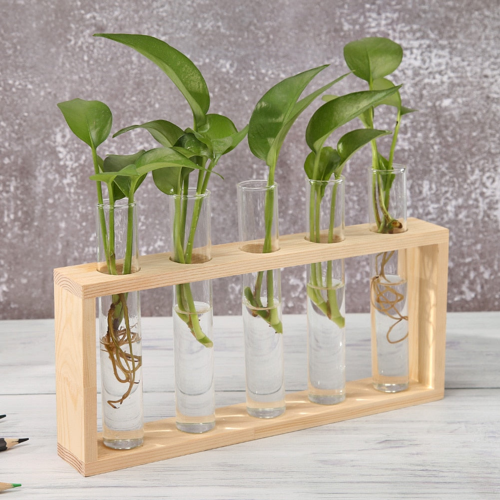 Transparent Glass Vase Wood Frame Flower Vase