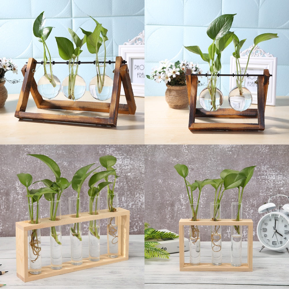 Transparent Glass Vase Wood Frame Flower Vase